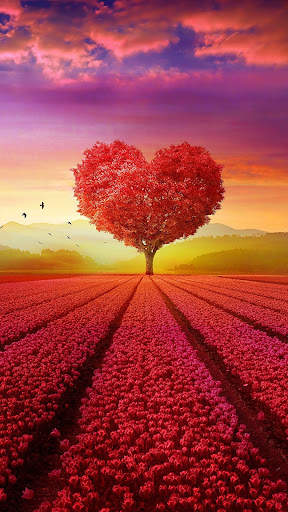 Scenery Wallpaper HD screenshot 2