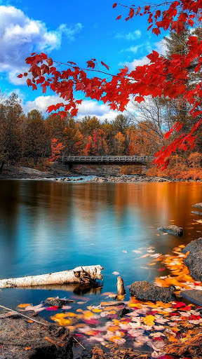 Beautiful Wallpaper 4K screenshot 4