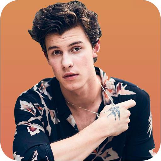 Shawn Mendes Music and Lyrics 1.1
