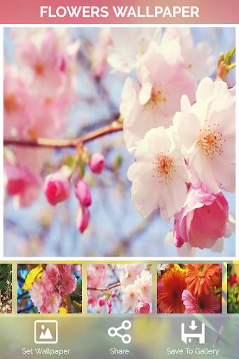 Flowers Wallpaper screenshot 8