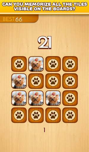 Brain games - Dogs - Memory training *Gold edition screenshot 7