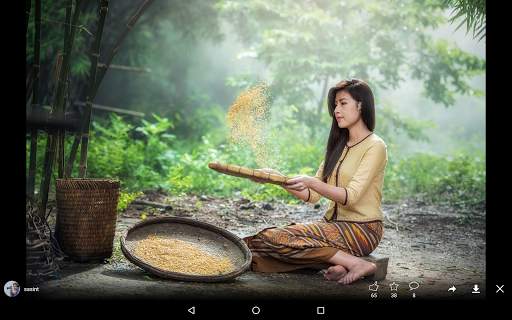 Pixabay screenshot 16