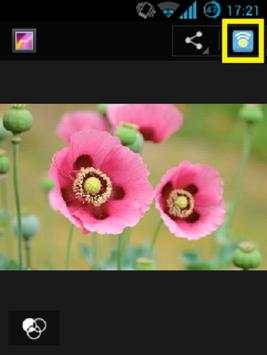 Share Via Wifi screenshot 1