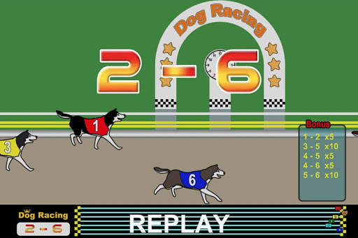 Dog Racing screenshot 6