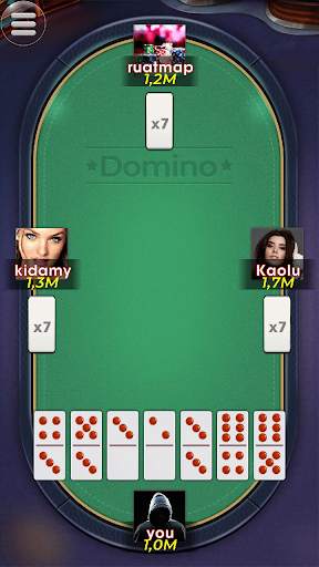 Domino screenshot 5