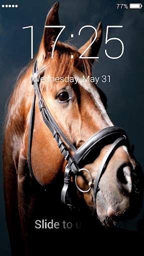 Horses Lock Screen 4 تصوير الشاشة