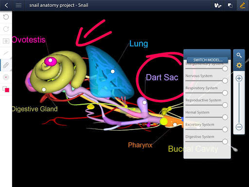 Animalia Educalabs screenshot 6