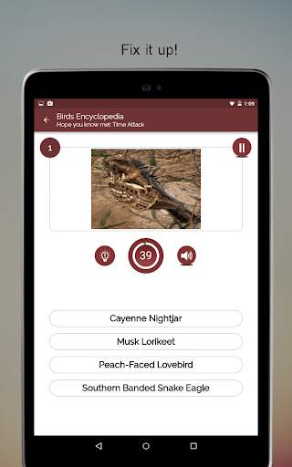 Birds Encyclopedia Offline App screenshot 13