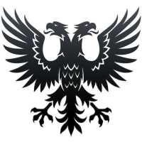 INJECTOR SHOP logo