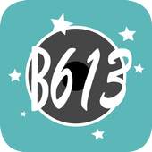 Camera B613 3.2