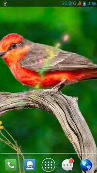 Moving Bird Live Wallpaper screenshot 5