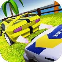 Crazy Cars