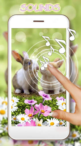Funny Bunnies Live Wallpaper screenshot 1