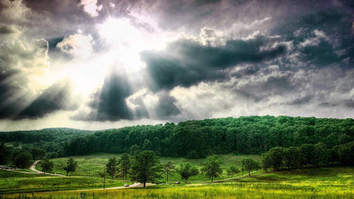 Summer Wallpapers : backgrounds hd screenshot 16