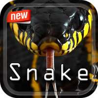 Snake Photo Frame