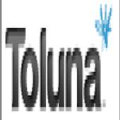 Make Money  Toluna 2.2