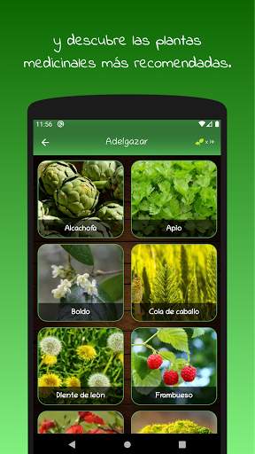 myRemedy: Plantas medicinales y sus usos screenshot 3