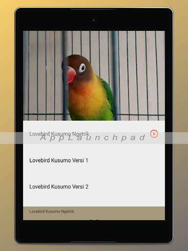 Kicau Burung Terlengkap screenshot 21
