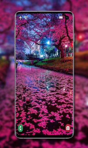 Cherry Blossom Wallpaper screenshot 8