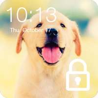 Labrador Dog Domestic Pet Lock Screen Password logo
