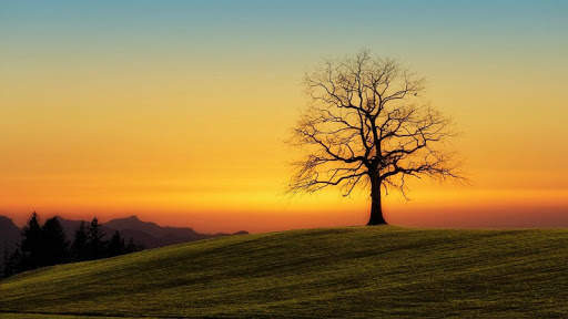 Download Wallpaper HD screenshot 6