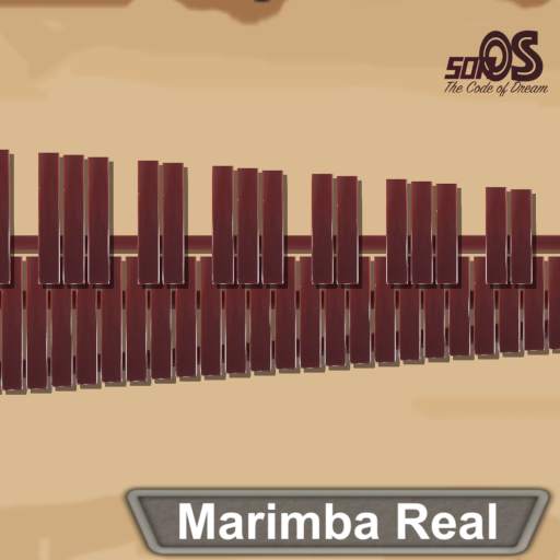 Marimba, Xylophone, Vibraphone 2.4.1