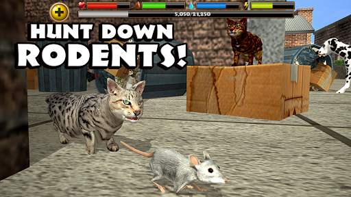 Stray Cat Simulator screenshot 13