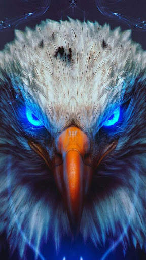Eagle Wallpaper HD screenshot 7