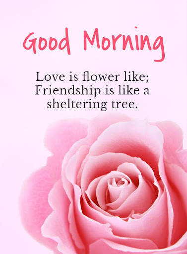 Good Morning Images App 2023 screenshot 13