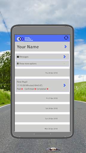 Driving Instructor Professional screenshot 2