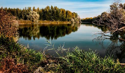 Nature Wallpapers HD (backgrounds & themes) screenshot 6
