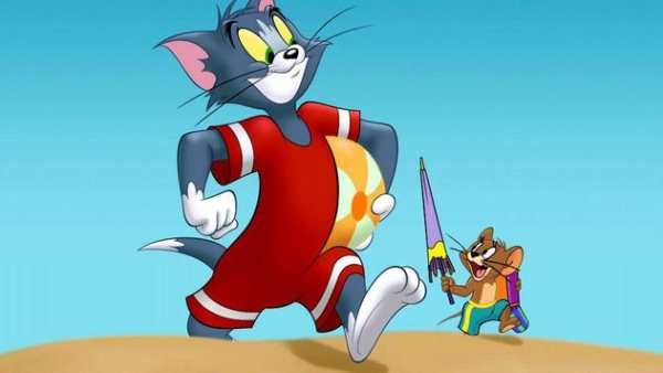 Tom And Jerry Cartoon Without Net screenshot 4