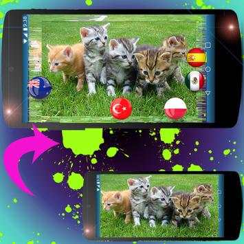 Face flag photo soccer screenshot 4