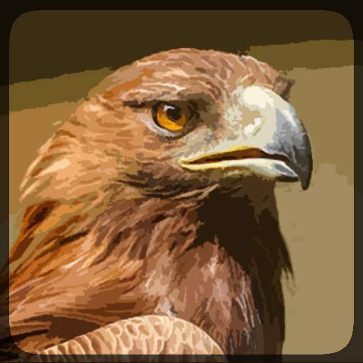 Eagle Hunting Journey 3.1