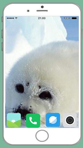 Harb Seal Full HD Wallpaper screenshot 13