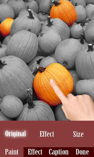 Color Splash Effect : Touch screenshot 1