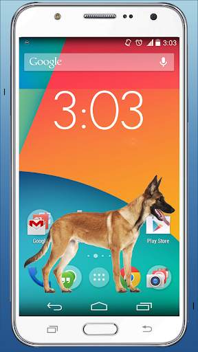 Cute Dog in Phone Funny walks screenshot 8