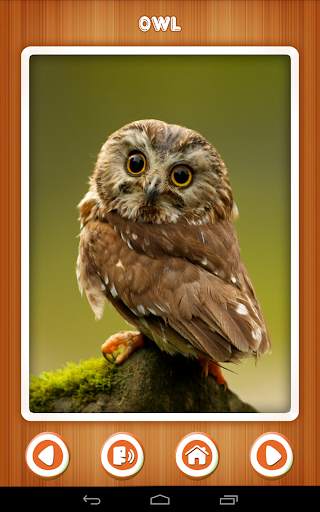 Baby learning Birds (Card) स्क्रीनशॉट 4