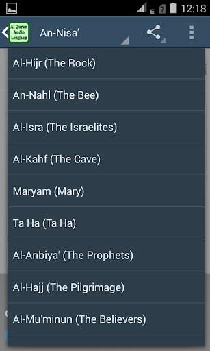 Al Quran Audio MP3 Full Offline screenshot 3