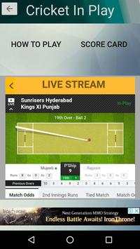 Cricket In-Play Pro ( FlashCard , Game ) screenshot 5