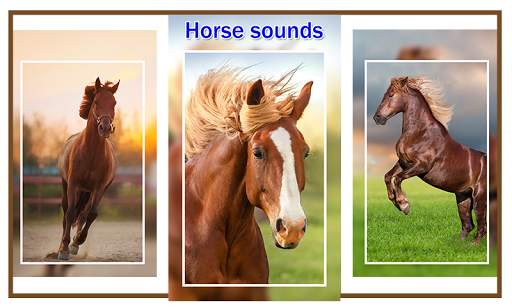 Horse Sounds and Ringtones screenshot 1