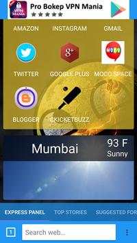 lite browser screenshot 2