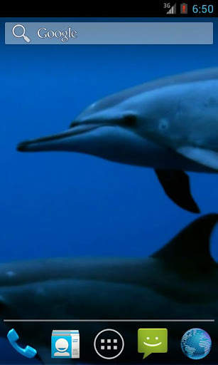 Wild Dolphins Video Wallpaper screenshot 1
