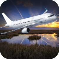 3D flight Simulator