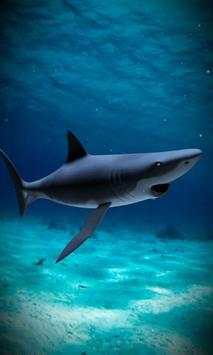 Shark attack lwp Free screenshot 3