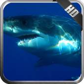 Megalodon Wallpaper 1.5