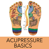 Learn Acupressure Basics icon