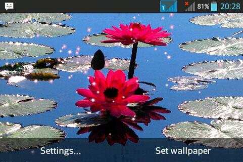 Hoa Sen screenshot 3