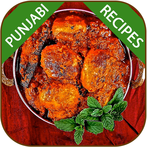 Punjabi North Indian Recipes icon