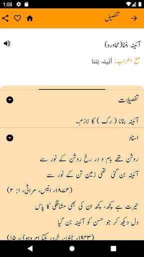 Offline Urdu Dictionary, Audio & Citation screenshot 3